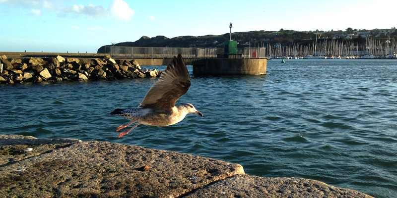 conheca-howth-19